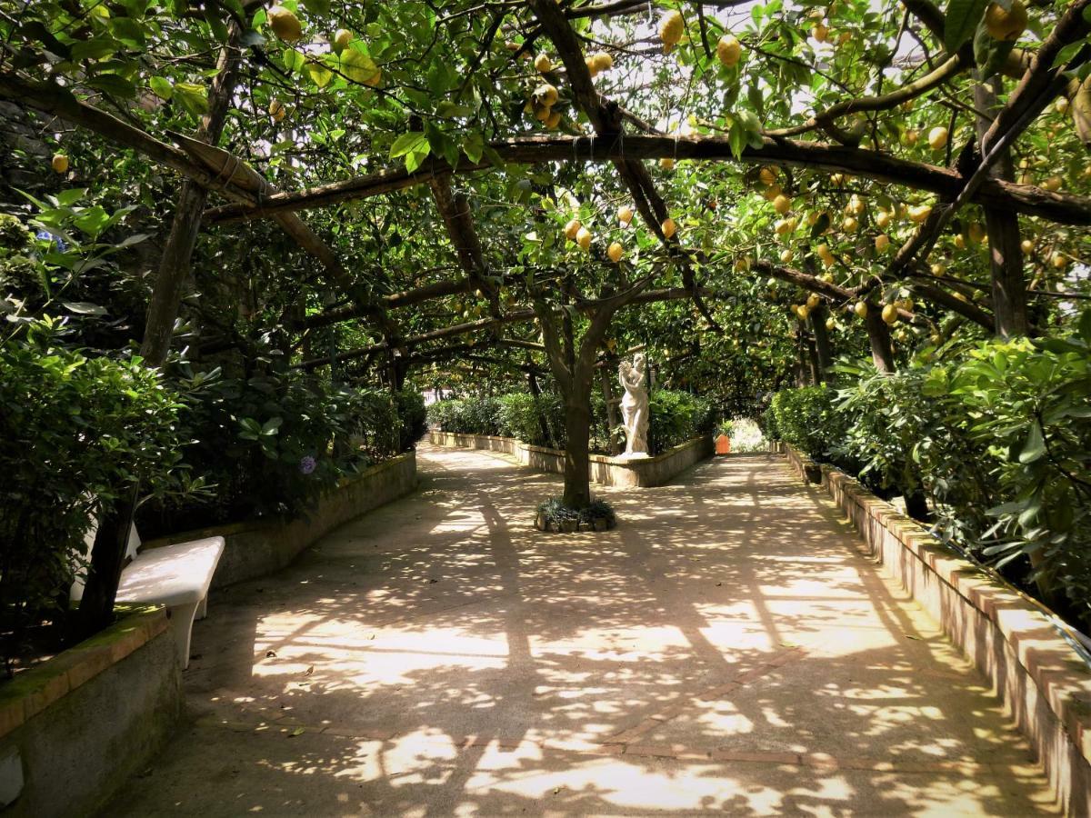 Casa Dei Limoni Διαμέρισμα Massa Lubrense Εξωτερικό φωτογραφία