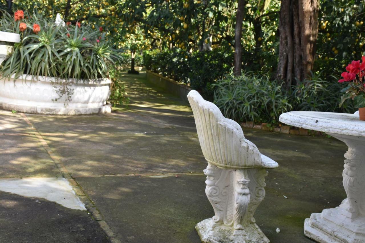 Casa Dei Limoni Διαμέρισμα Massa Lubrense Εξωτερικό φωτογραφία
