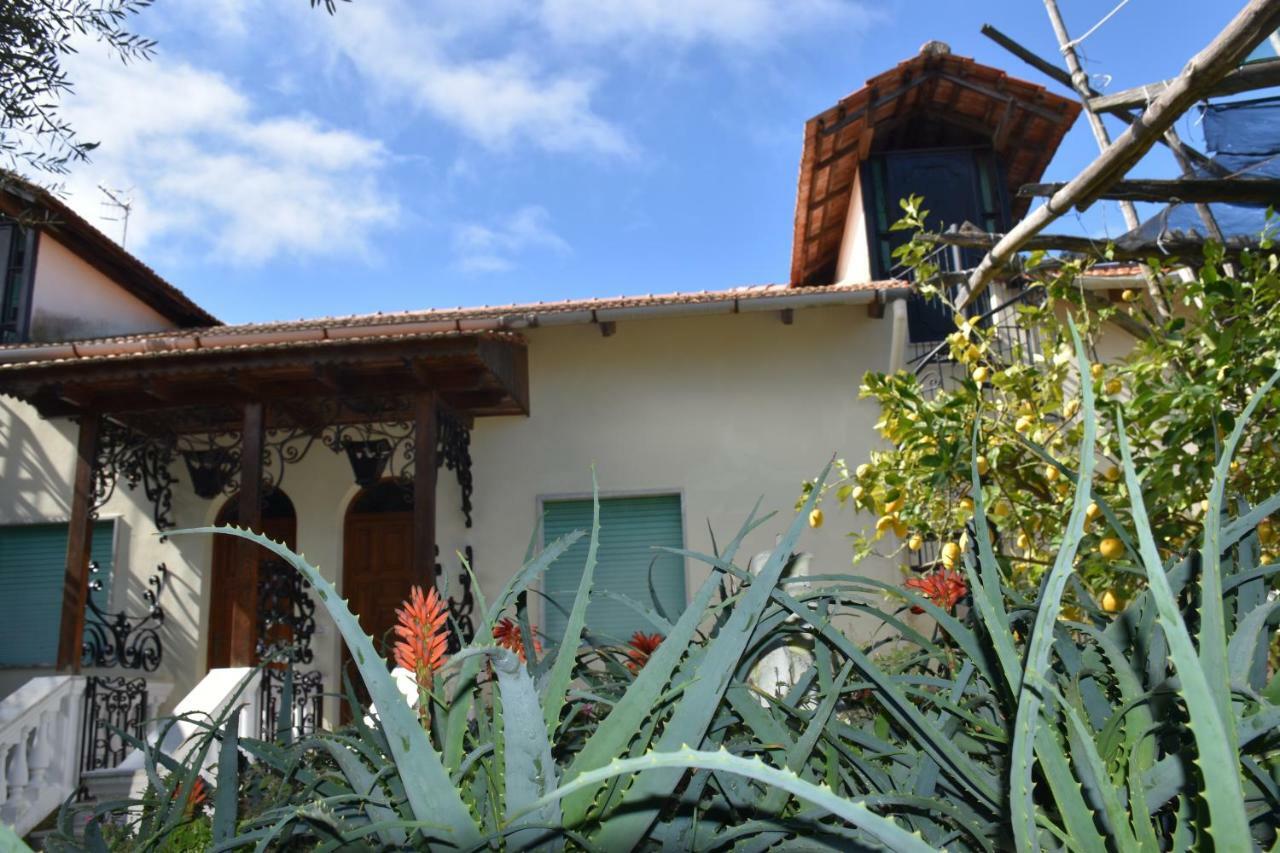 Casa Dei Limoni Διαμέρισμα Massa Lubrense Εξωτερικό φωτογραφία