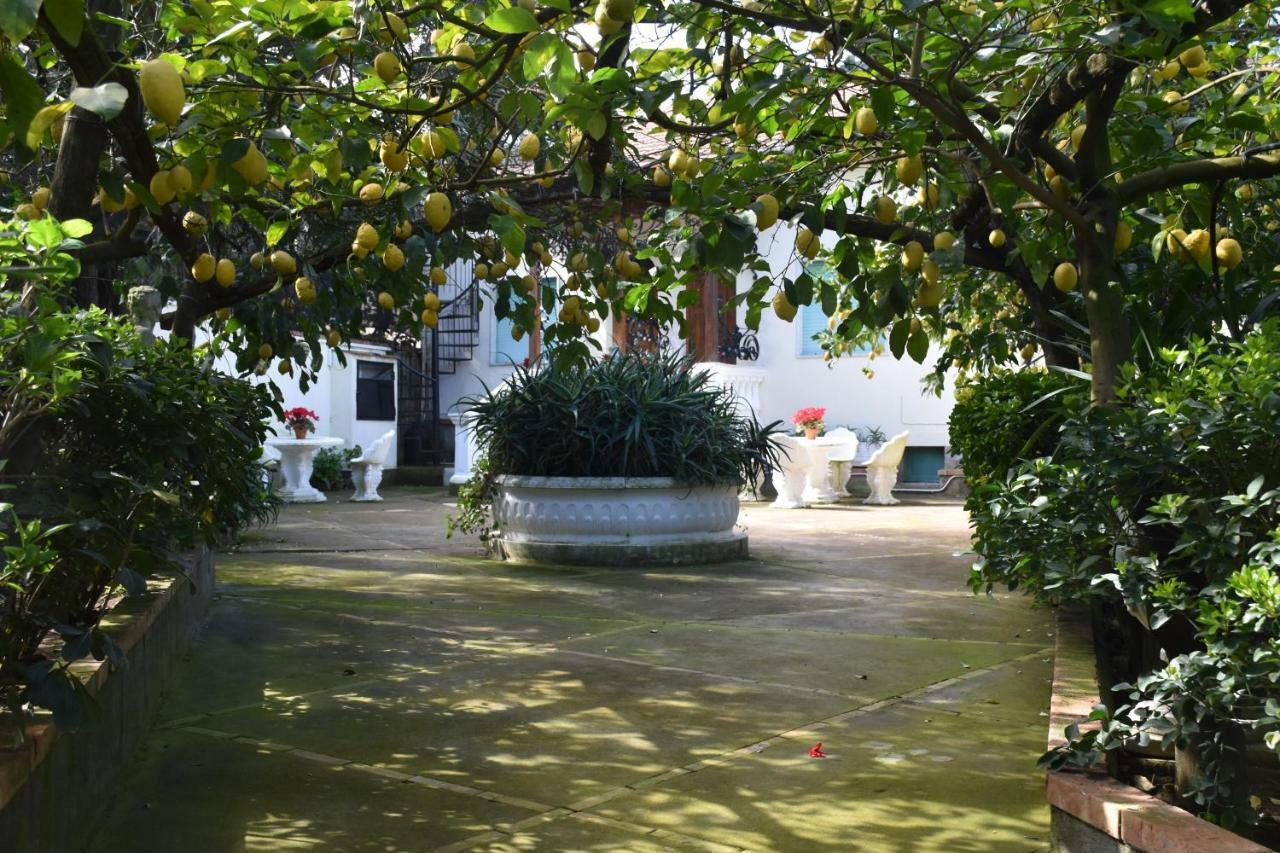 Casa Dei Limoni Διαμέρισμα Massa Lubrense Εξωτερικό φωτογραφία